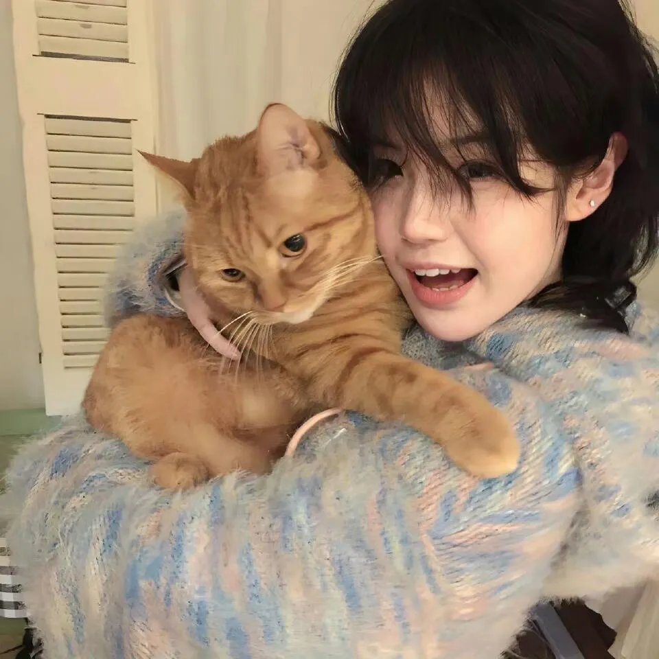 穿入仙画逆袭归来